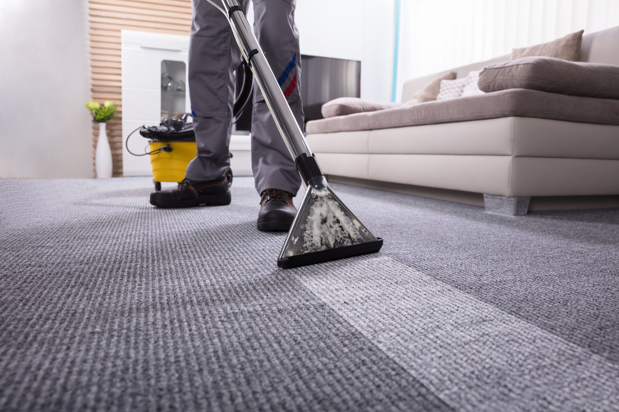 Person Cleaning Carpet