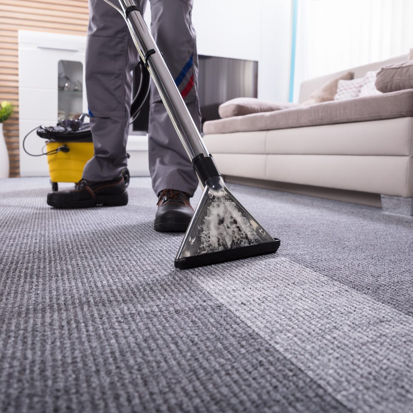 Person Cleaning Carpet